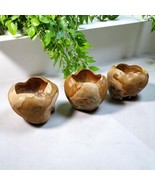 Teak Root Wood Decorative Dish Flowerpot Solid Wood Orchid Pod Planter Deco - €89,62 EUR