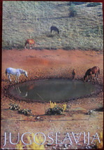 1979 Original Poster Yugoslavia Wild Horses Water Trough 1979 Nature - £89.35 GBP