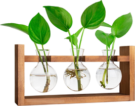 Ivolador Tabletop Propagation Station,Plants Terrarium Glass Bulb Terrar... - $24.00