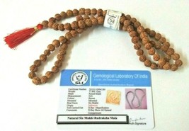 6 Mukhi Rudraksha Mala / Six Face Rudraksha Mala / Mars Mala - 109 cuentas... - $103.79