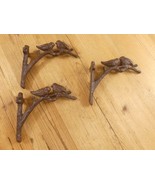 3 Cast Iron Plant Hooks Bird Garden Nature Wall Mounted Rustic Farmhouse... - $550.93 MXN