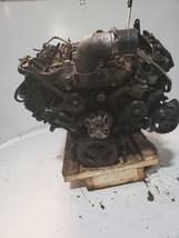 Engine 6.0L VIN P 8th Digit Diesel Fits 06-10 FORD E350 VAN 1087071 - £1,942.21 GBP