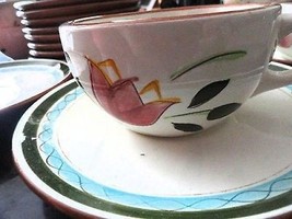 Stangl Pottery Country Gardens Cup Saucer Dinnerware - £6.38 GBP