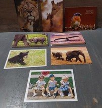 Wildlife Mixed Lot Blank Cards IAWF Audabon Foundation Bear Whale Elepha... - £13.19 GBP