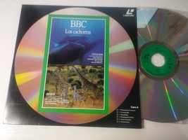 Bbc Los Cachorros Cetaceos Jirafas Perros Caballos - LASERDISC LD - $535.61 MXN