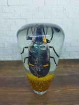 Real Insect Devil Beetle Grasshopper Gear Shift Shifter Knob Acrylic Res... - £74.47 GBP
