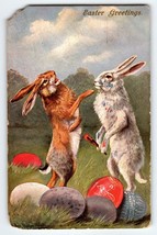 Easter Postcard Standing Rabbits Anthropomorphic Fantasy August Muller Eggs 1908 - £18.46 GBP