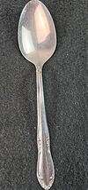 Oneida Plantation Stainless Custom Glossy Oval Soup Spoon Flatware - €5,94 EUR