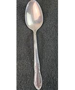Oneida Plantation Stainless Custom Glossy Oval Soup Spoon Flatware - €5,94 EUR