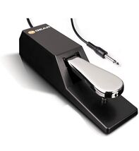 M-Audio SP 2 - Universal Sustain Pedal with Piano Style Action For MIDI ... - €15,00 EUR M-Audio SP 2 - Universal Sustain Pedal with Piano Style Action For MIDI ... - €15,00 EUR