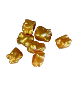 Rattlesnake Jake Board Game: Replacement Part: 7 Gold Pieces - $9.89
