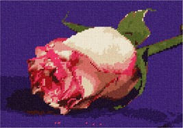 Pepita Needlepoint kit: Rose On Purple, 10&quot; x 7&quot; - £39.93 GBP+