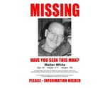 2008 Breaking Bad Movie Poster 11X17 Walter White Missing Poster  - $11.58