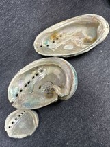 Lot Of 3 - Abalone Shell Iridescent 4” - 3.5” - 2” - £7.83 GBP