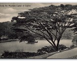 On the Mountain Kandy Ceylon Sri Lanka UNP DB Postcard Y17 - $5.89