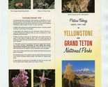 Kodak Picture Taking Yellowstone &amp; Grand Teton National Parks Brochure 1977 - $18.81