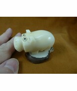 (TNE-HIP-83-d) Hippo Hippopotamus TAGUA NUT Figurine palm I love hippos - €28,42 EUR