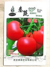 5 Gram &#39;Lingyue&#39; Pink Tomato Hybrid F1 Seeds - $17.00