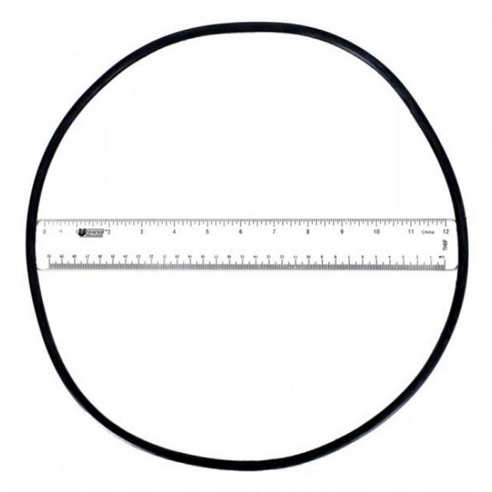 Astral 4404210302 O-Ring for Filter Tank - $24.27