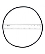 Astral 4404210302 O-Ring for Filter Tank - $25.77