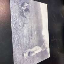 Vintage photograph child with rooster - £11.10 GBP