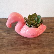 Pink Flamingo Planter with Succulent, live plant, Echeveria in Ceramic Bird Pot image 2