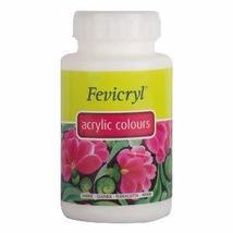 Pidilite Fevicryl Acrylic Colour (500 Ml): White - £27.96 GBP