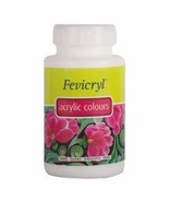 Pidilite Fevicryl Acrylic Colour (500 Ml): White - $34.99