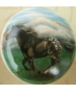 Ceramic Cabinet Knob Blanket Appaloosa Horse Apiloosa - €3,84 EUR