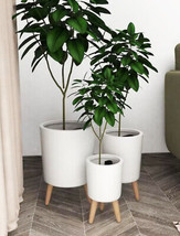 Set of 3 Contemporary White Fiber Clay Cylindrical Planter Pots With Wooden Feet - £101.98 GBP