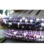Montana Cudu Corn - $97.66 MXN