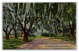 Pakenham Oaks New Orleans LA UNP Linen Postcard Y6 - £2.28 GBP