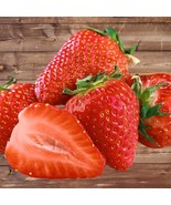 5 Strawberry Plants Seascape - Everbearing/Day Neutral Seascape Bare Root - €24,22 EUR