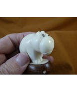 (TNE-HIP-499d) Baby Hippo on TAGUA NUT base figurine water baby hippos - $20.99