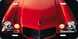 1970 RED CAMARO HOOD | License Plate | sports car | free shipping - £16.13 GBP