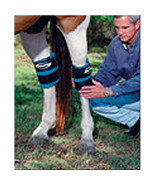 ProKold HOCK or ANKLE Equine Leg Ice Wrap - $112.62 CAD