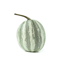Silver-Edged Pumpkin 25+  Seeds for Garden Planting - USA - £10.67 GBP