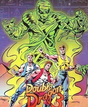 Double Dragon 3 Video Arcade Game Flyer Technos Original NOS Game 8.5&quot; x... - $40.50