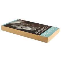Gertrude Stein The Autobiography of Alice B. Toklas 1960 Edition Paperback Book image 4