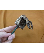 (g626-7) Medium Gator FOOT Back Scratcher PAW ALLIGATOR backscratcher ga... - $20.99