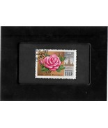 Tchotchke Framed Stamp Art - Flora- Moscow Morning Rose - $9.99