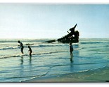 Shipwreck of Peter Iredale Fort Stevens State Park OR UNP Chrome Postcar... - $3.91
