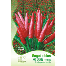 NEW BELLFARM Red Hot Cayenne Pepper Seeds Bonsai, Original pack, 35pcs, healthy  - £4.63 GBP