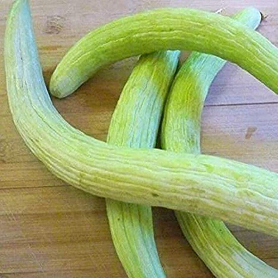 Primary image for 20 Seeds melon, SERPENT Armenian CUCUMBER