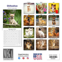 Chihuahua Wall Calendar 2024 Animal DOG PET Lover Gift - £19.75 GBP