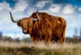 Art Wall Decor Scottish Highland Cow Painting Picture Printed Canvas Giclee - £6.86 GBP+