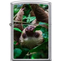 Zippo Lighter - Sloth in Tree Street Chrome - 854759 - £19.39 GBP