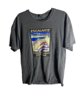 C Port &amp; Company Adult LG T-Shirt Escalante Petrified Forest State Park ... - $6.34