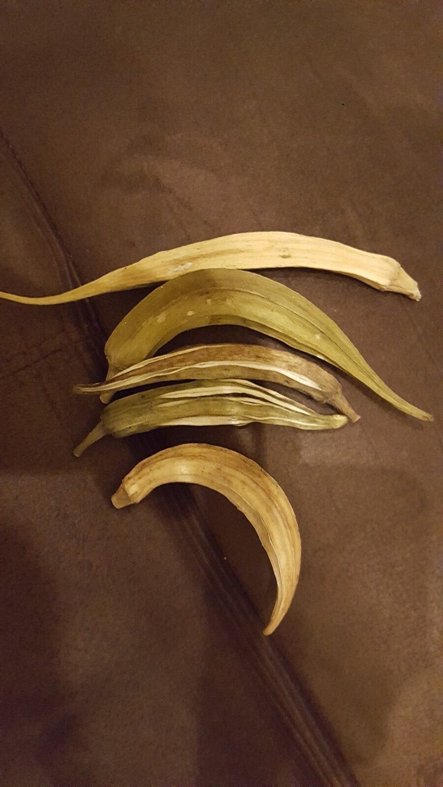 5 Natural Dried Okra Pods organically grown rabbit and rodent treats - $2.97