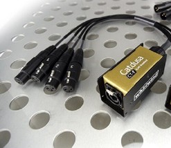 Whirlwind Catdusa CT-F Ethercon Cat5 Mini Audio Drop Snake to 4 Female XLR - $2,843.66 MXN